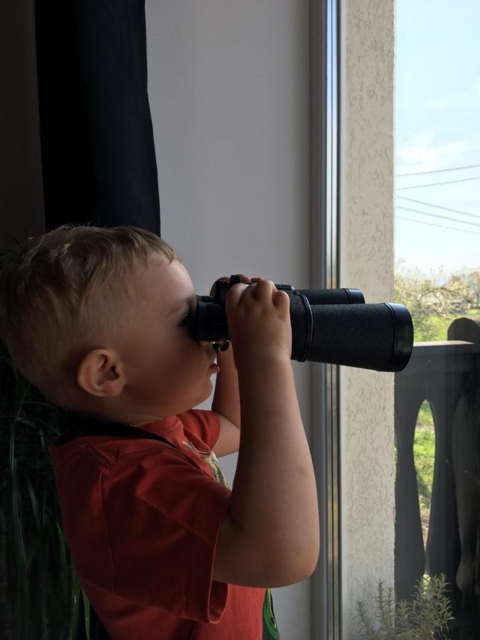 Вілла Sarnia Polana Kostrzyca Екстер'єр фото